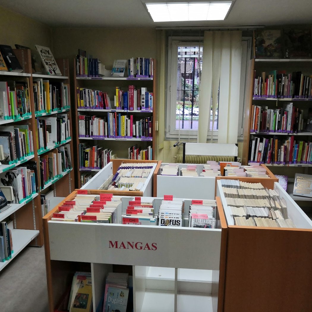 Bibliothèque Dumont 3